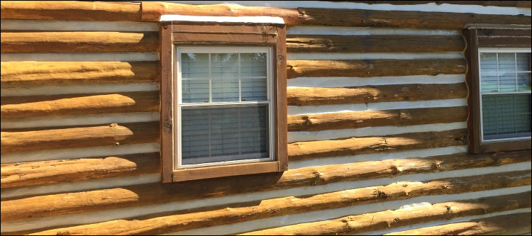 Log Home Whole Log Replacement  Pulaski County, Georgia