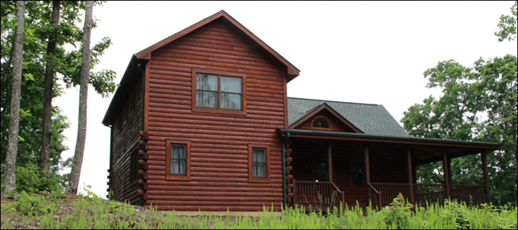 Professional Log Home Borate Application  Pulaski County, Georgia